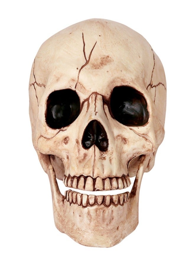 Crazy Bonez Skeleton Skull - Image 1